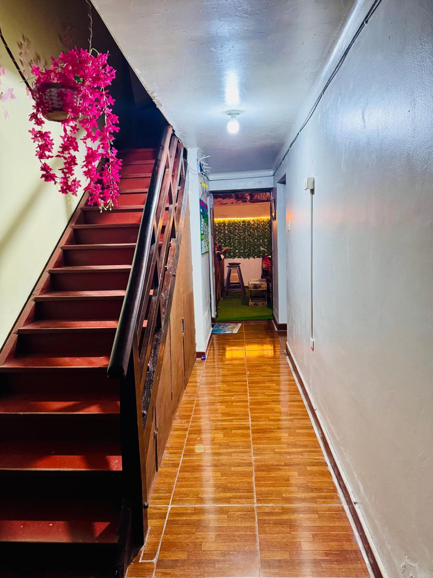 Ukumari Hostel Куско Екстер'єр фото