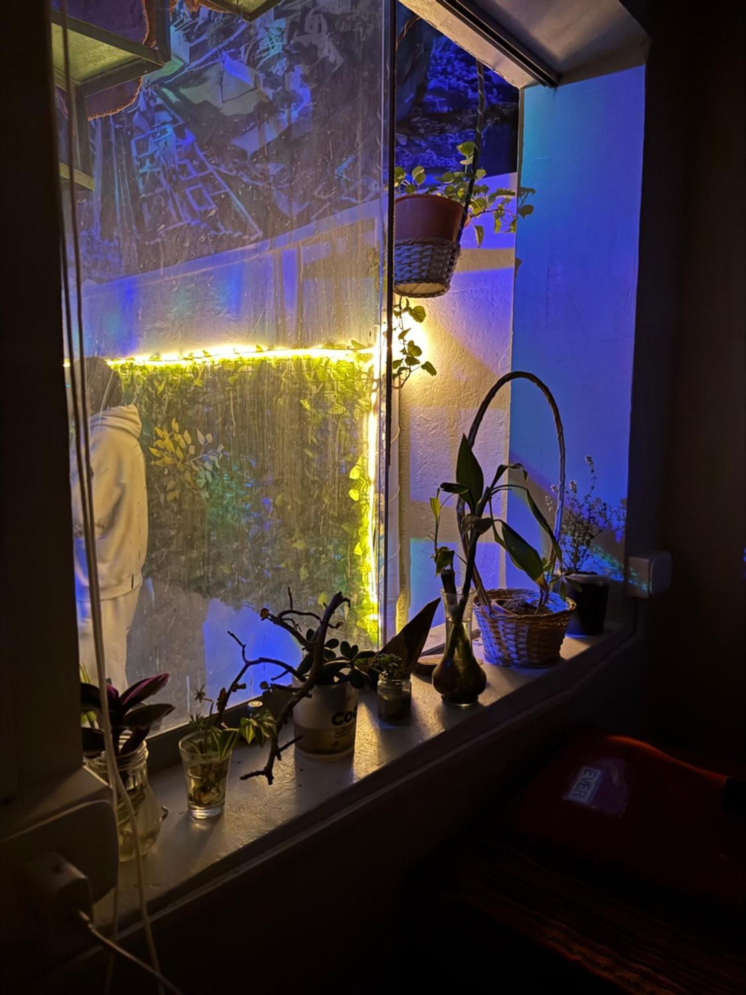 Ukumari Hostel Куско Екстер'єр фото